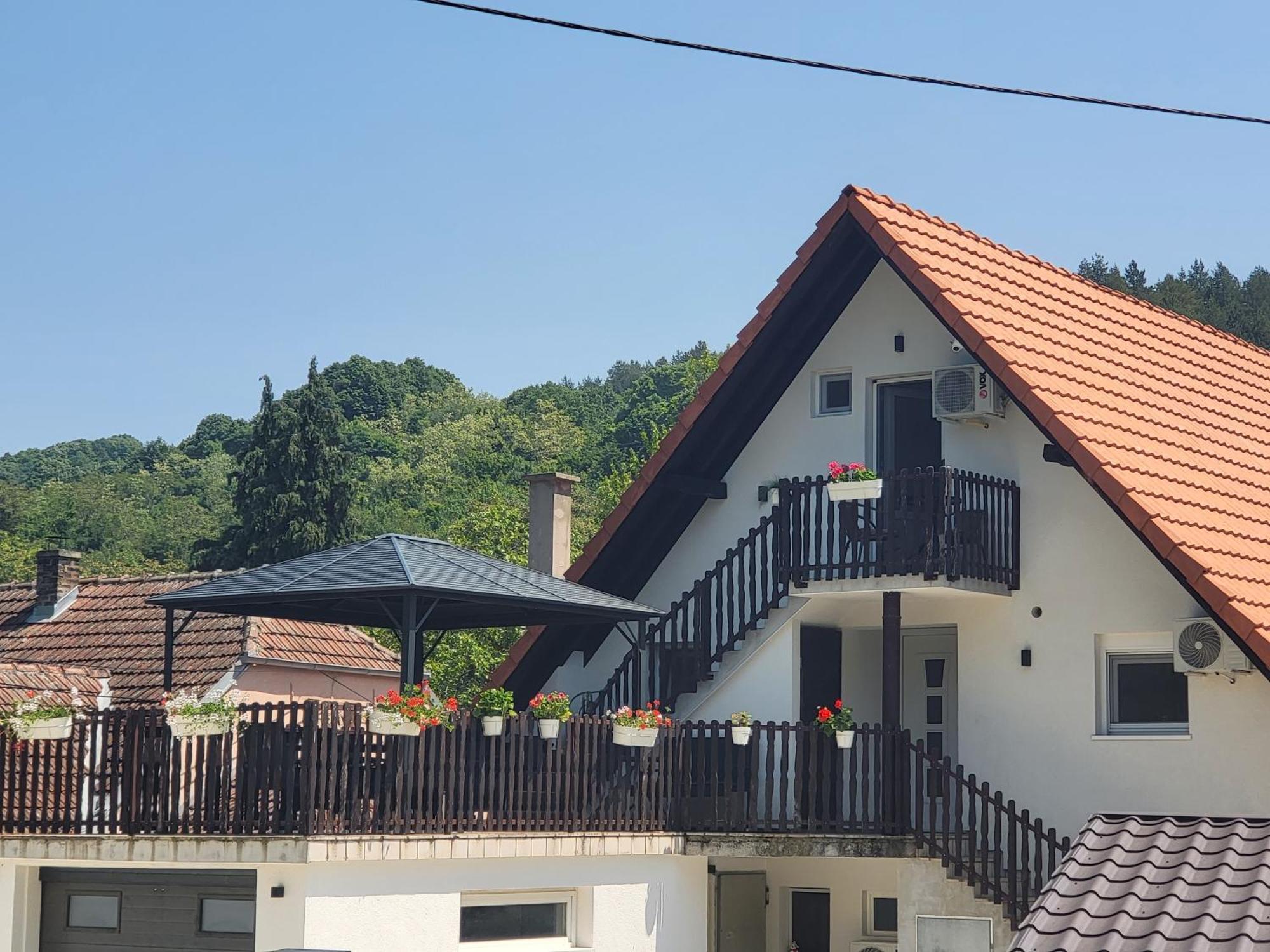 Vila Jovana 브르드니크 외부 사진